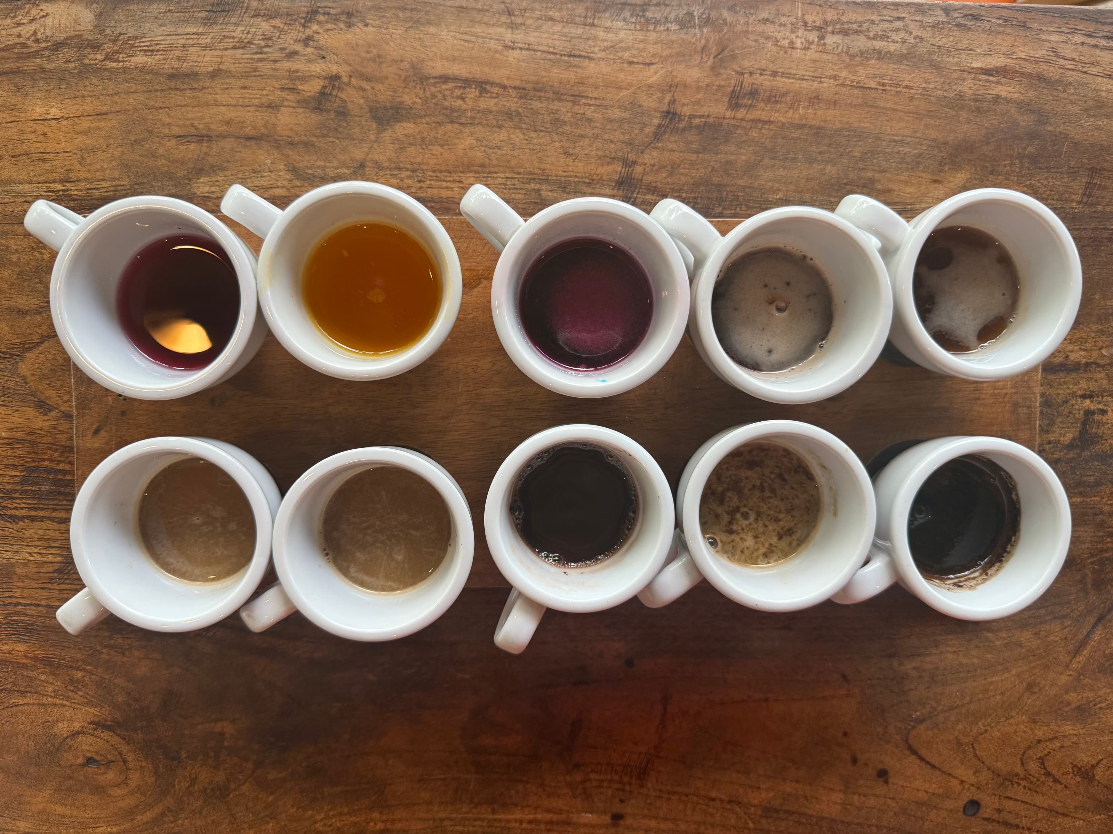 Tee- und Kaffee-Tasting auf der Plantage